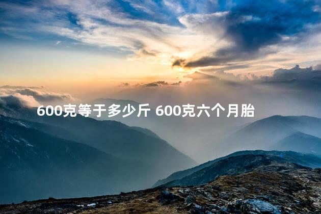 600克等于多少斤 600克六个月胎儿大吗